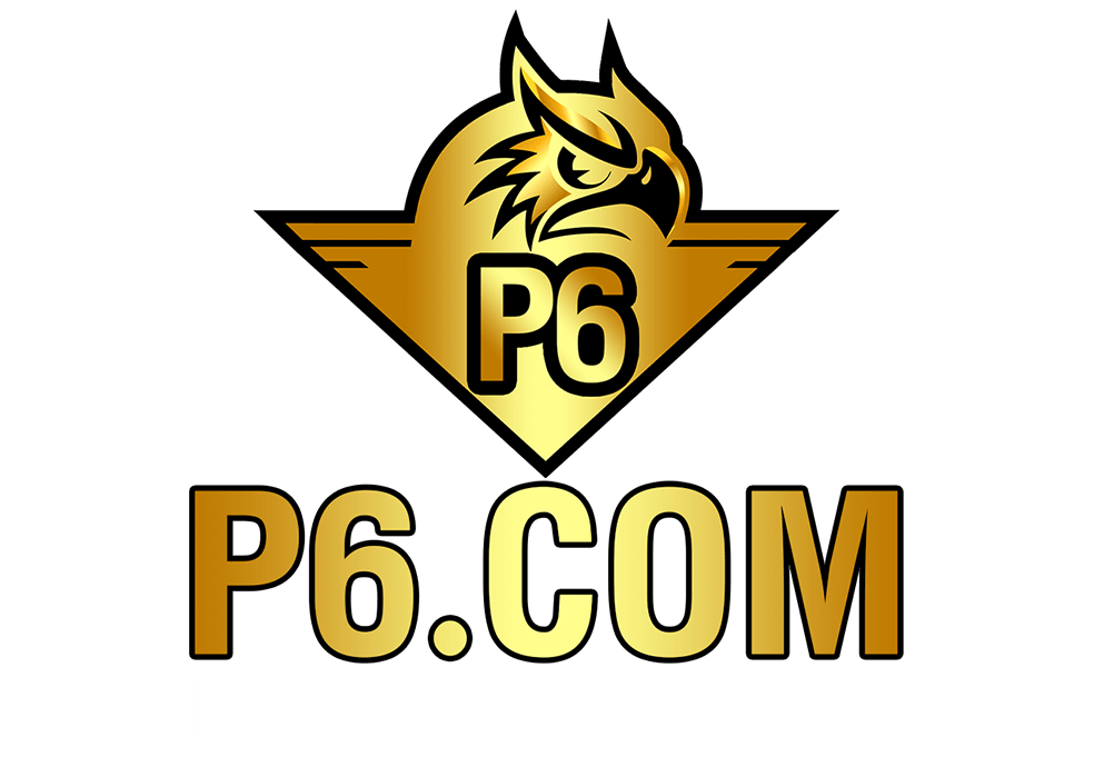 P6-logo